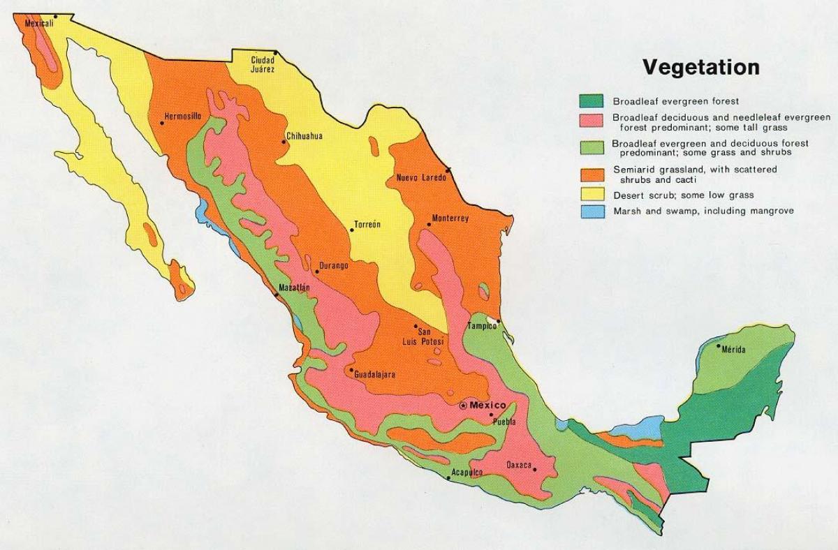 žemėlapis Meksika natual išteklių