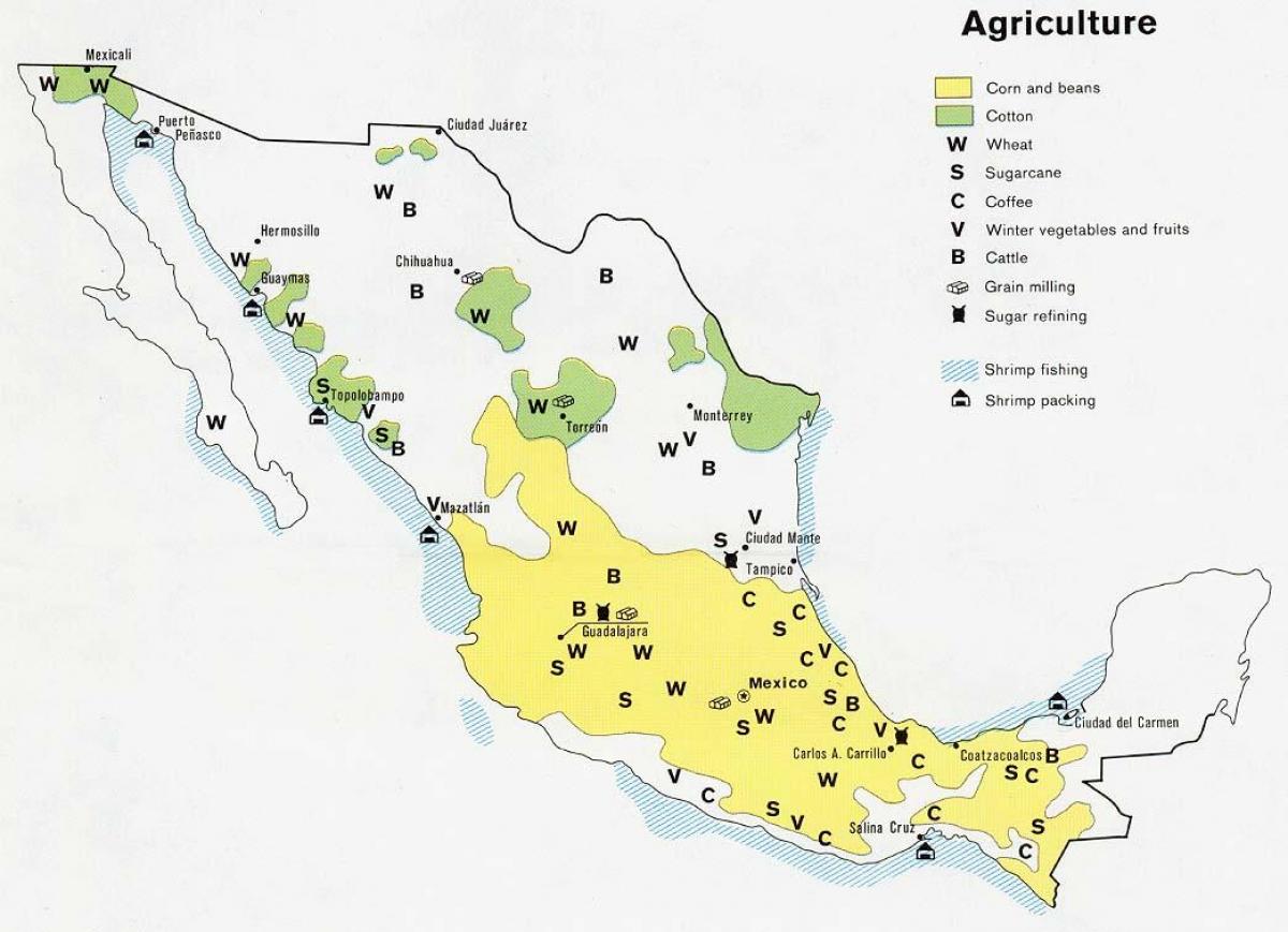 žemėlapis Meksika žemės ūkio